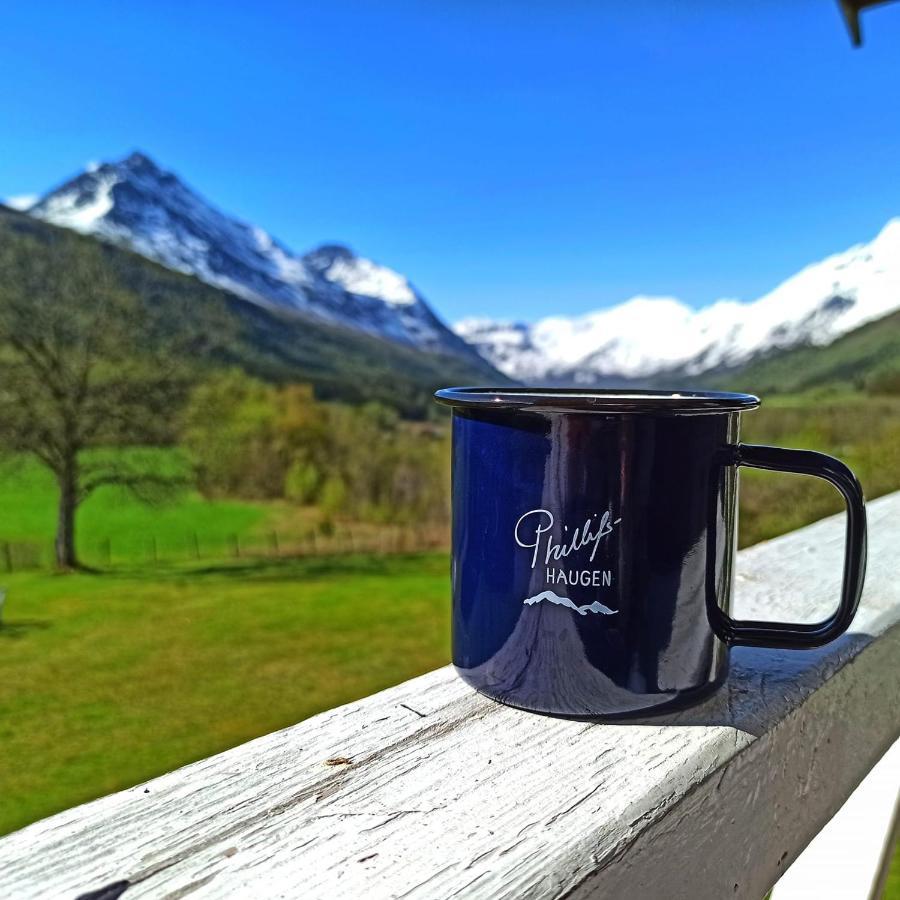Phillipshaugen Lodge Oksendalsora المظهر الخارجي الصورة